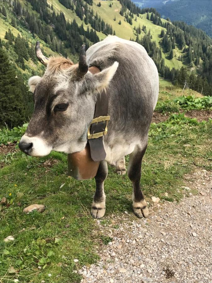 Apartamento Kraehenberg Am Rande Der Wildnis Sibratsgfäll Exterior foto