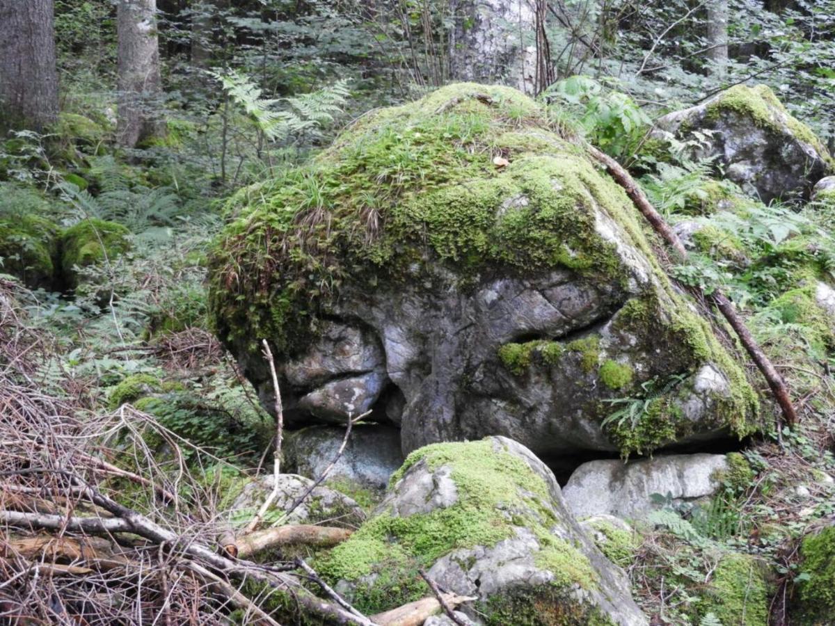 Apartamento Kraehenberg Am Rande Der Wildnis Sibratsgfäll Exterior foto