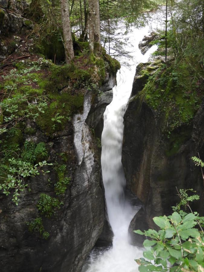 Apartamento Kraehenberg Am Rande Der Wildnis Sibratsgfäll Exterior foto