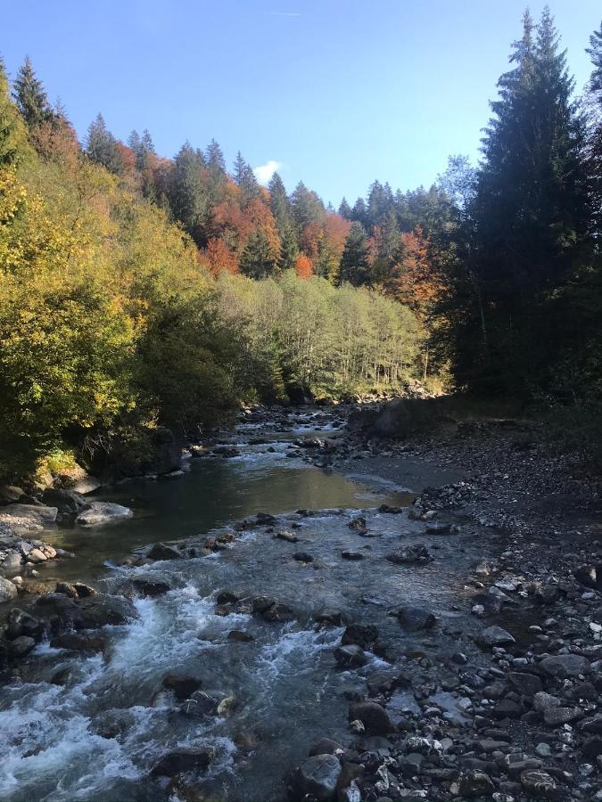 Apartamento Kraehenberg Am Rande Der Wildnis Sibratsgfäll Exterior foto